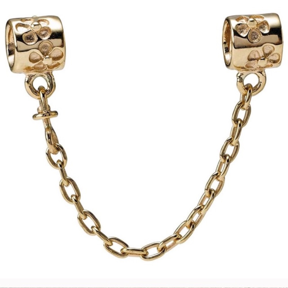 Seeking to purchase! 14k pandora safety chain